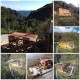 Il chiosco nel bosco